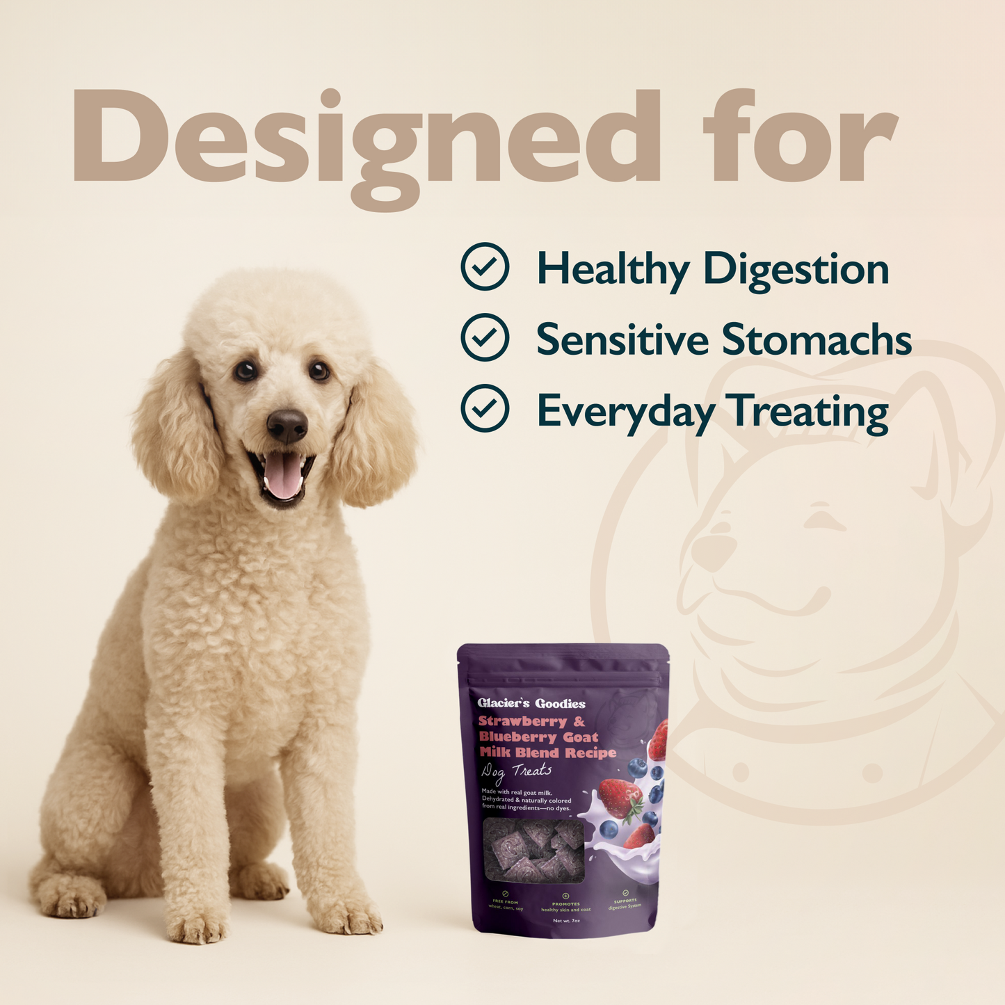 Dog sitting next to a bag of dog treats with text about product benefits on a beige background