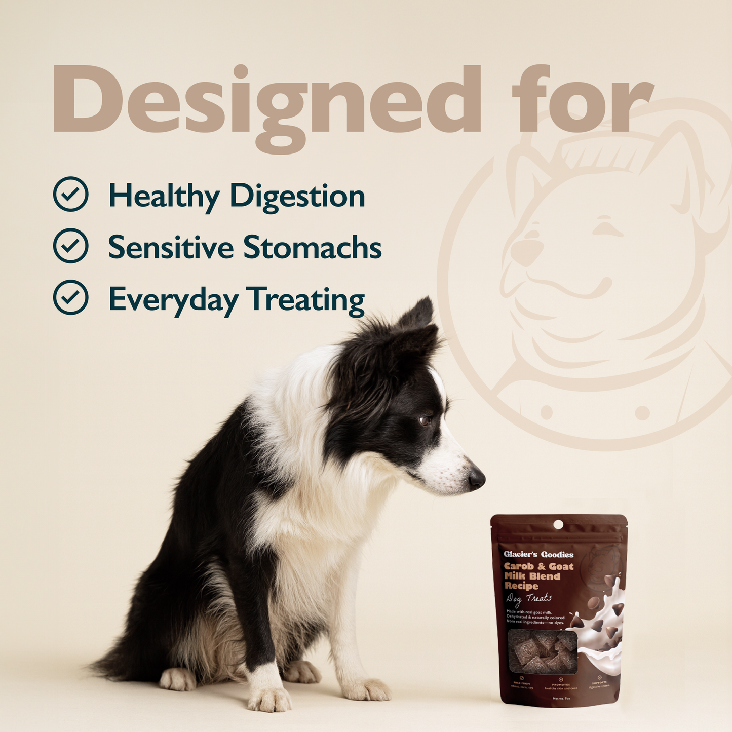 Dog sitting next to a bag of dog treats with text about healthy digestion, sensitive stomachs, and everyday treating.