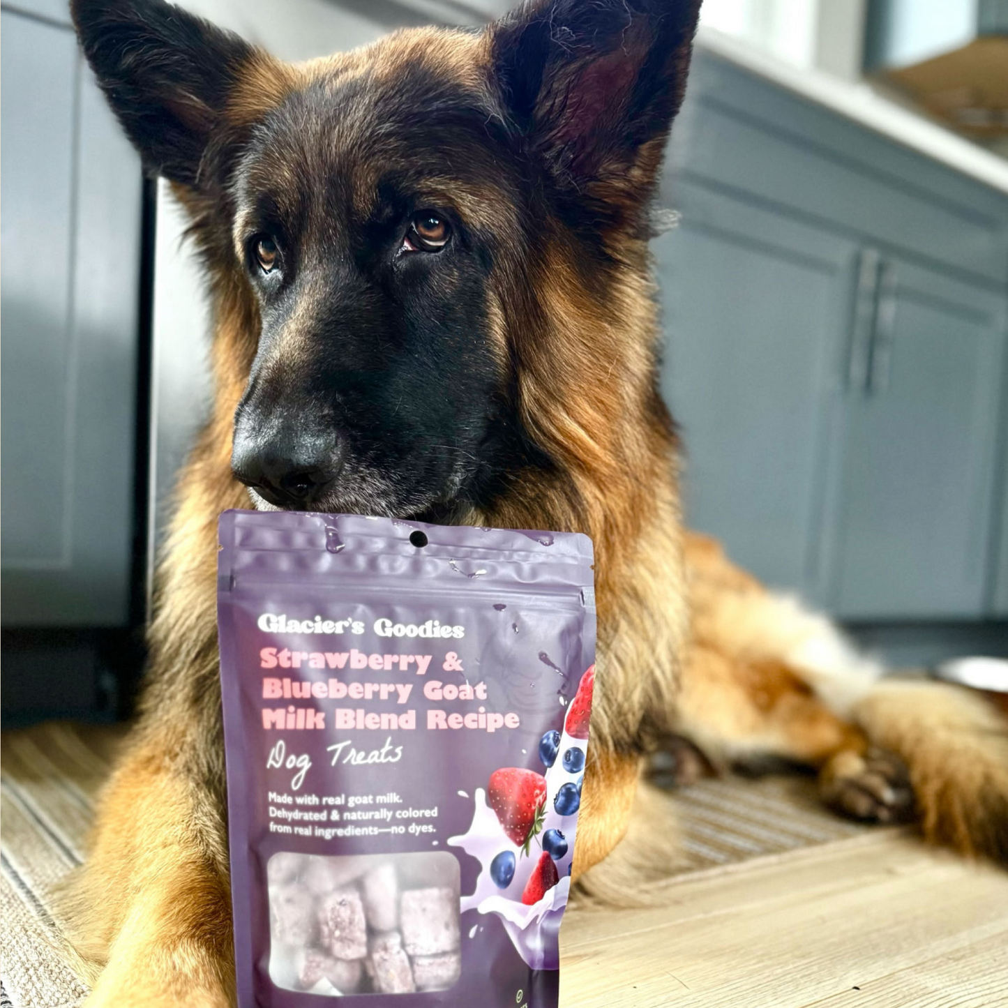 Dog with a package of Glacier's Goodies dog treats with a kitchen background