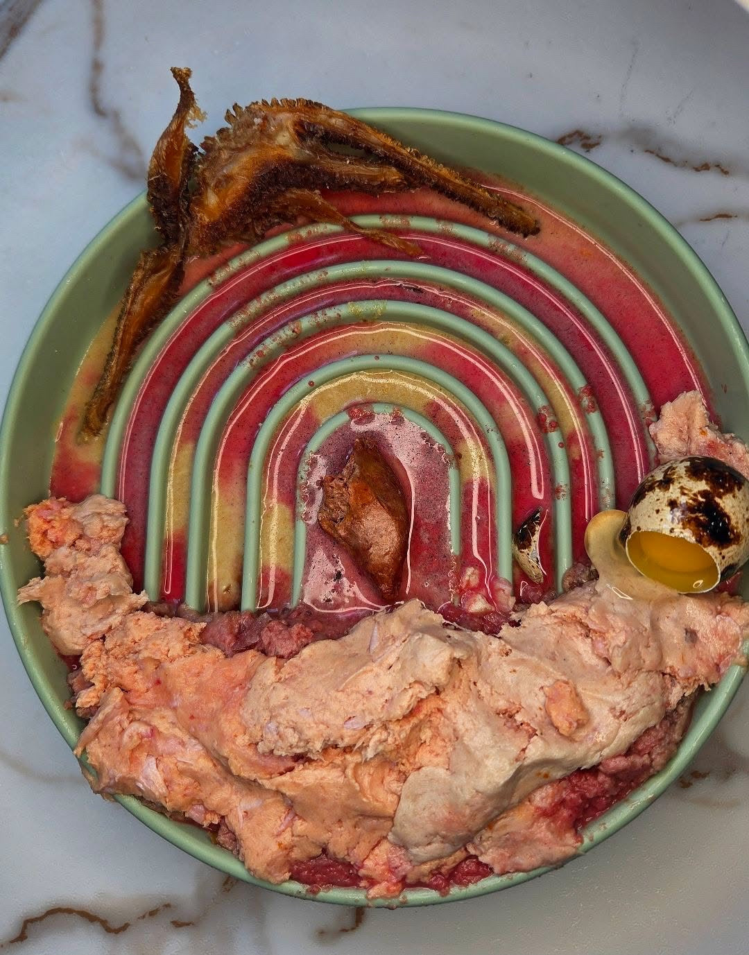 Cozy Turkey & Pumpkin Bowl