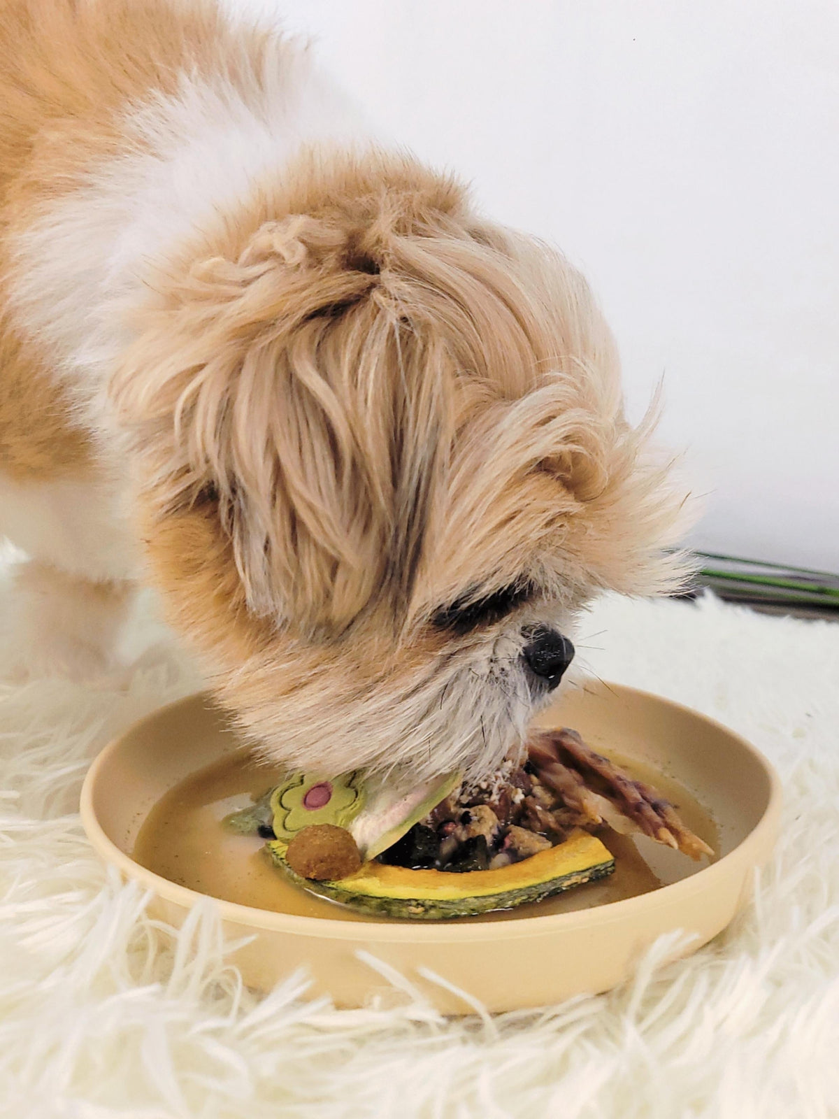 Kabocha Garden Bowl