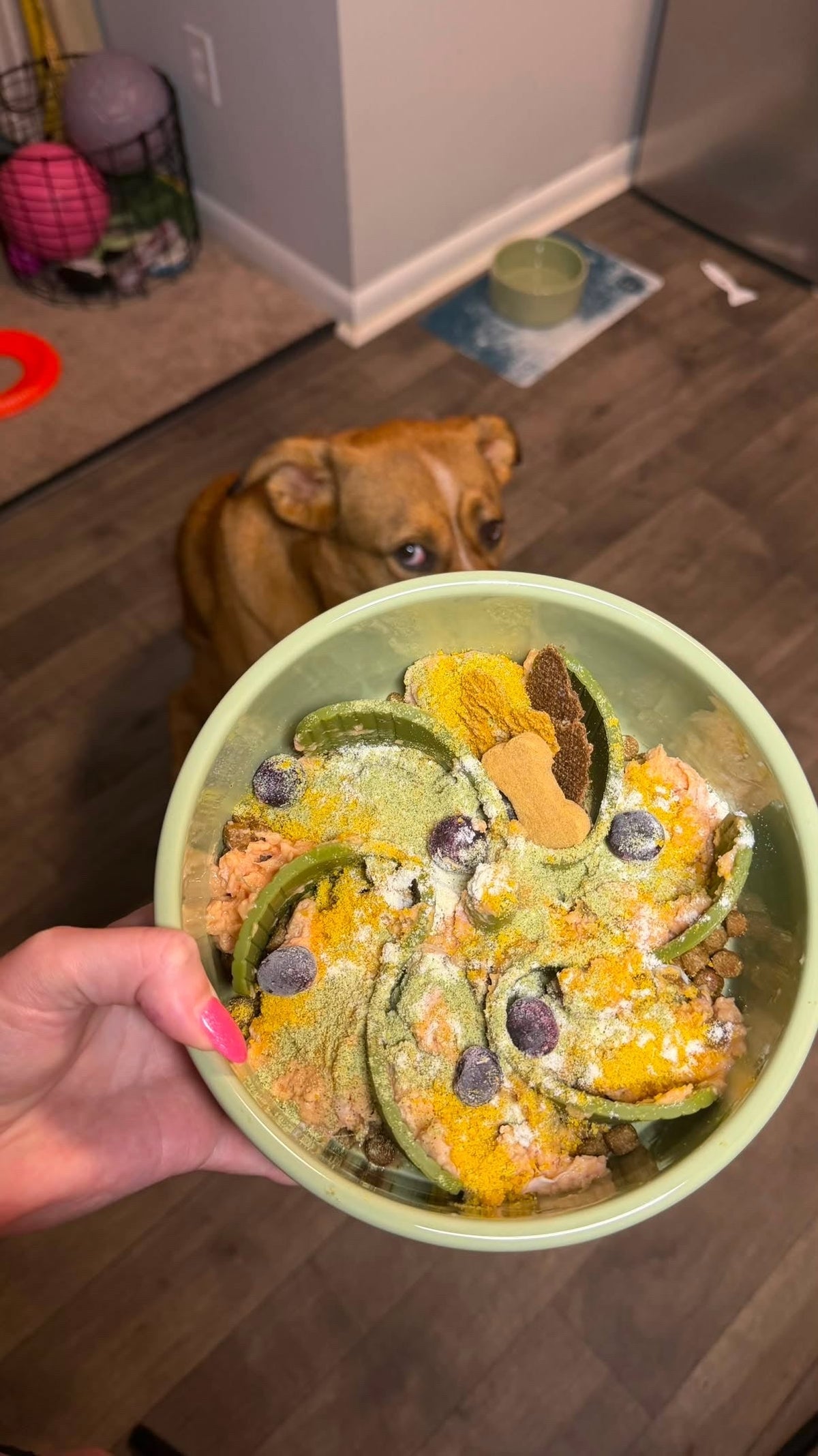 Three-Protein Harvest Bowl