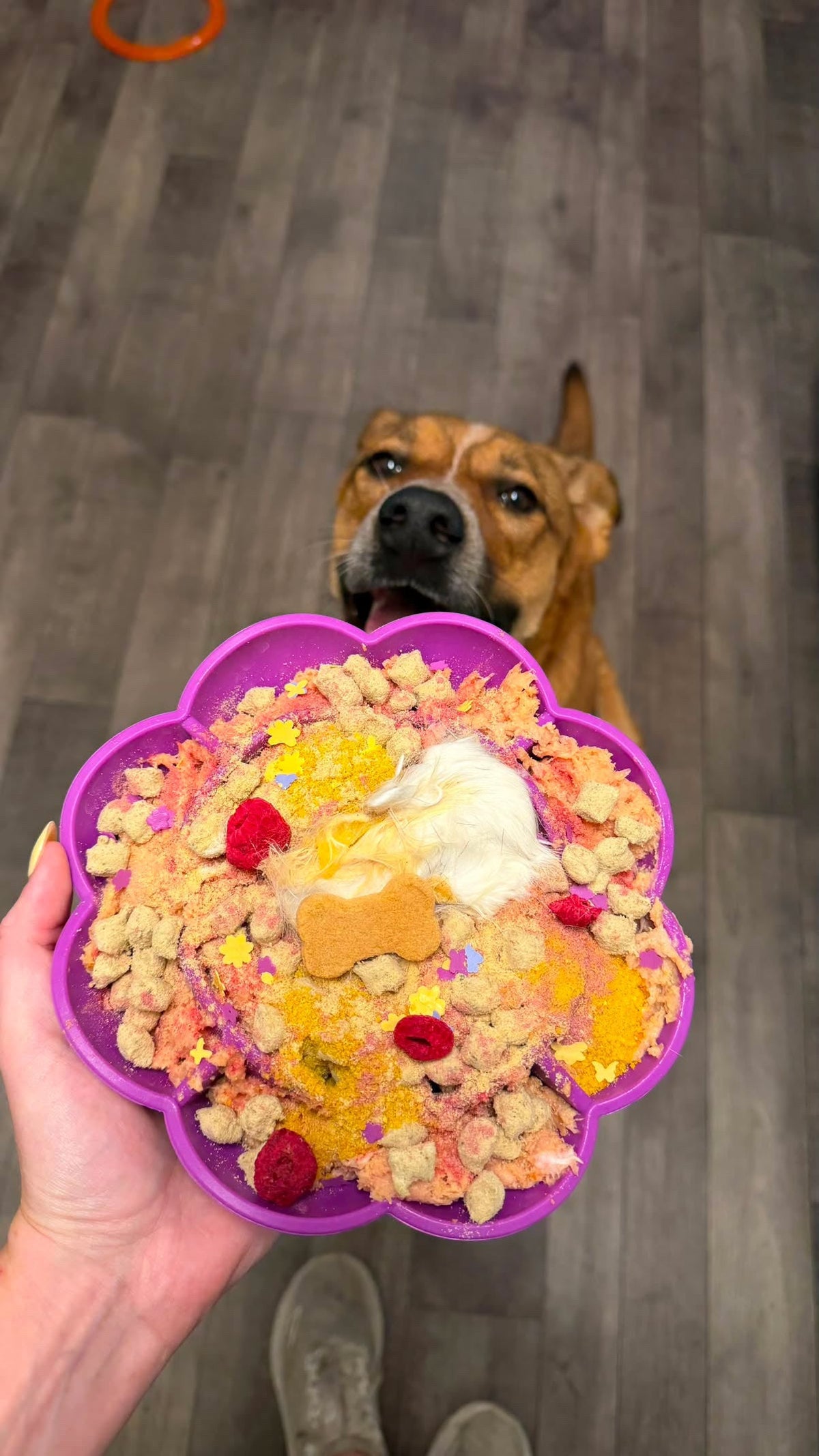 Golden Garden Feast