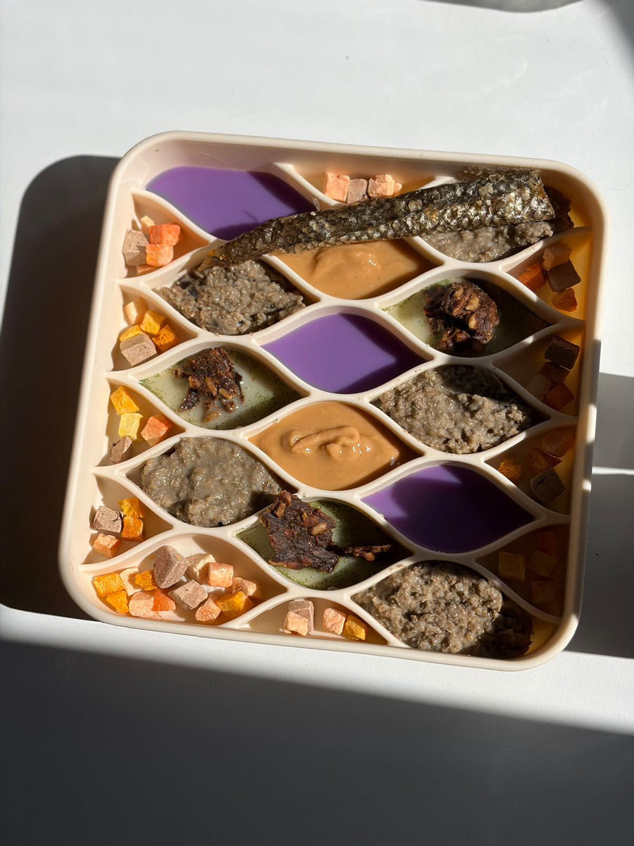 Midday Snack Sampler