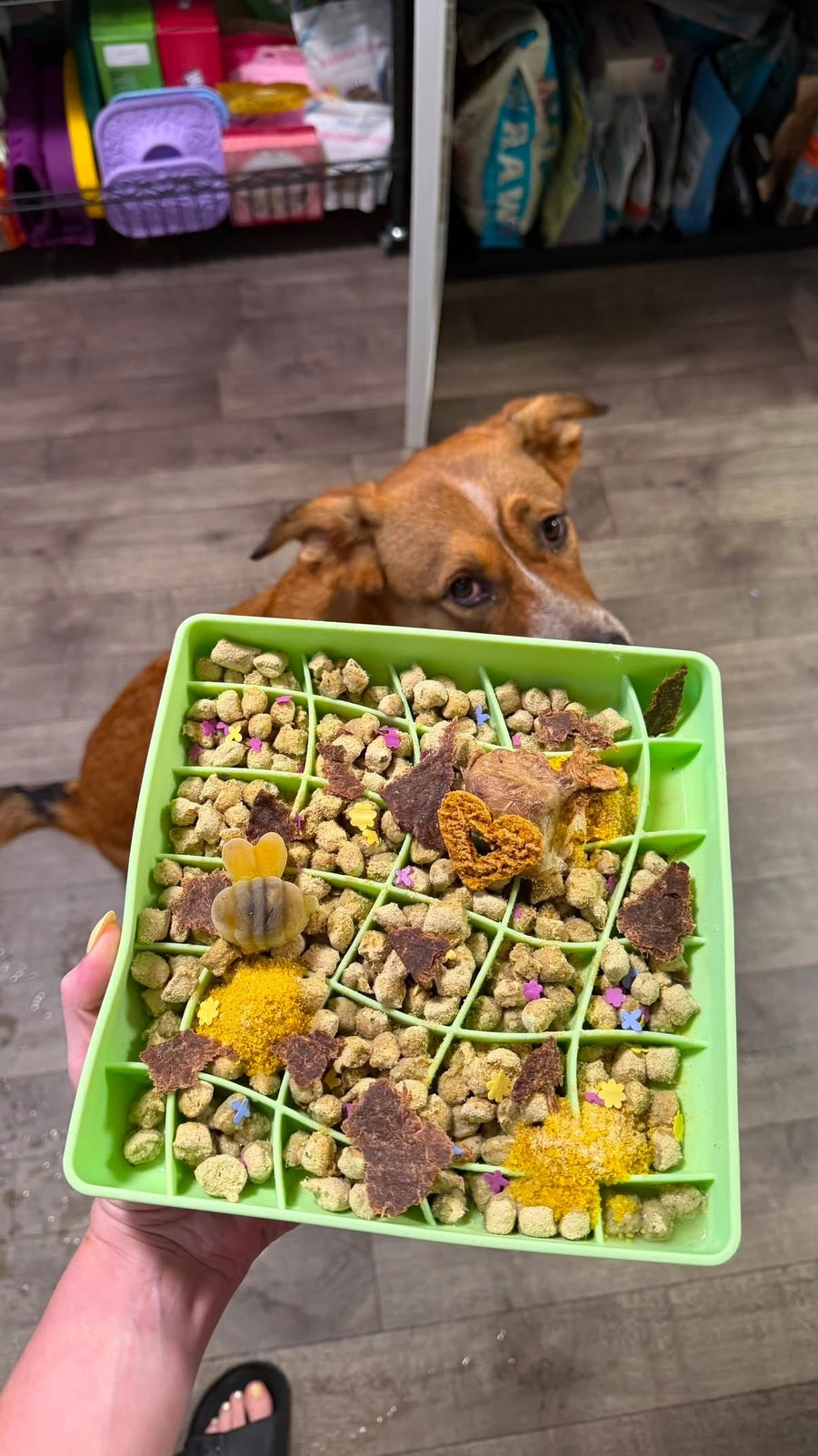 Wildflower Raw Feast