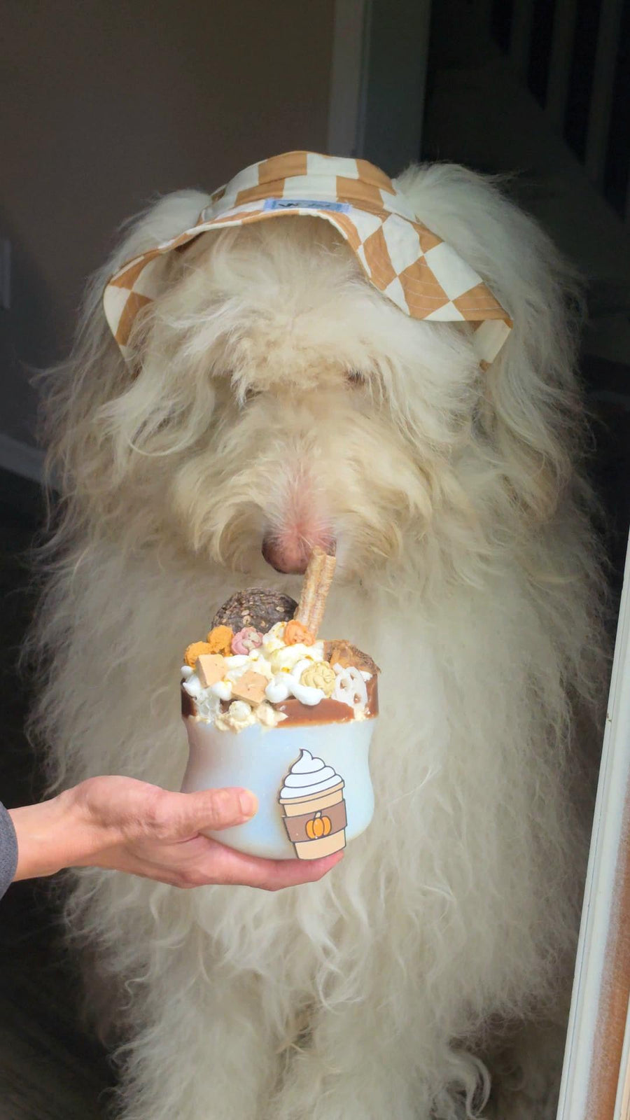 Pumpkin Spice Latte Toppl
