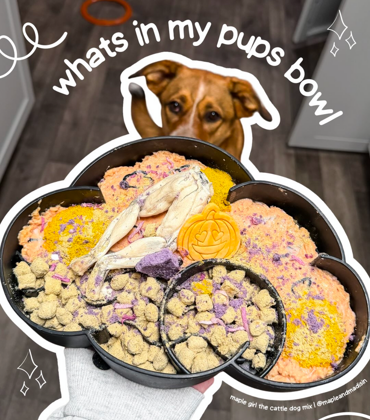 Spooky Frog Feast