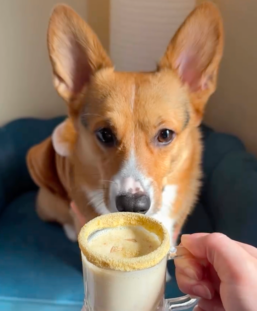 Creamy Pumpkin Spice Latte