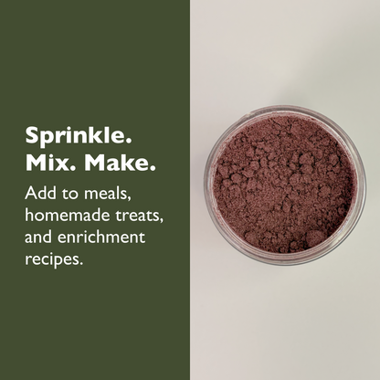 Single-Ingredient Blueberry Powder