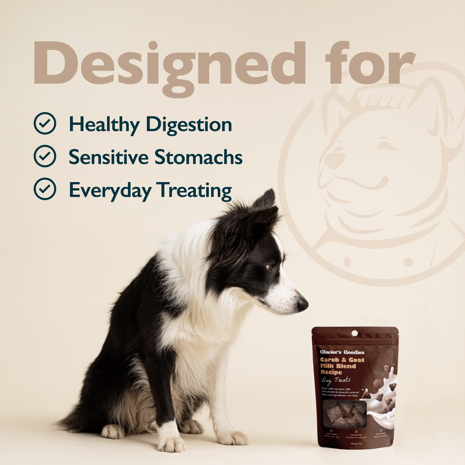 Dog sitting next to a bag of dog treats with text about healthy digestion, sensitive stomachs, and everyday treating.