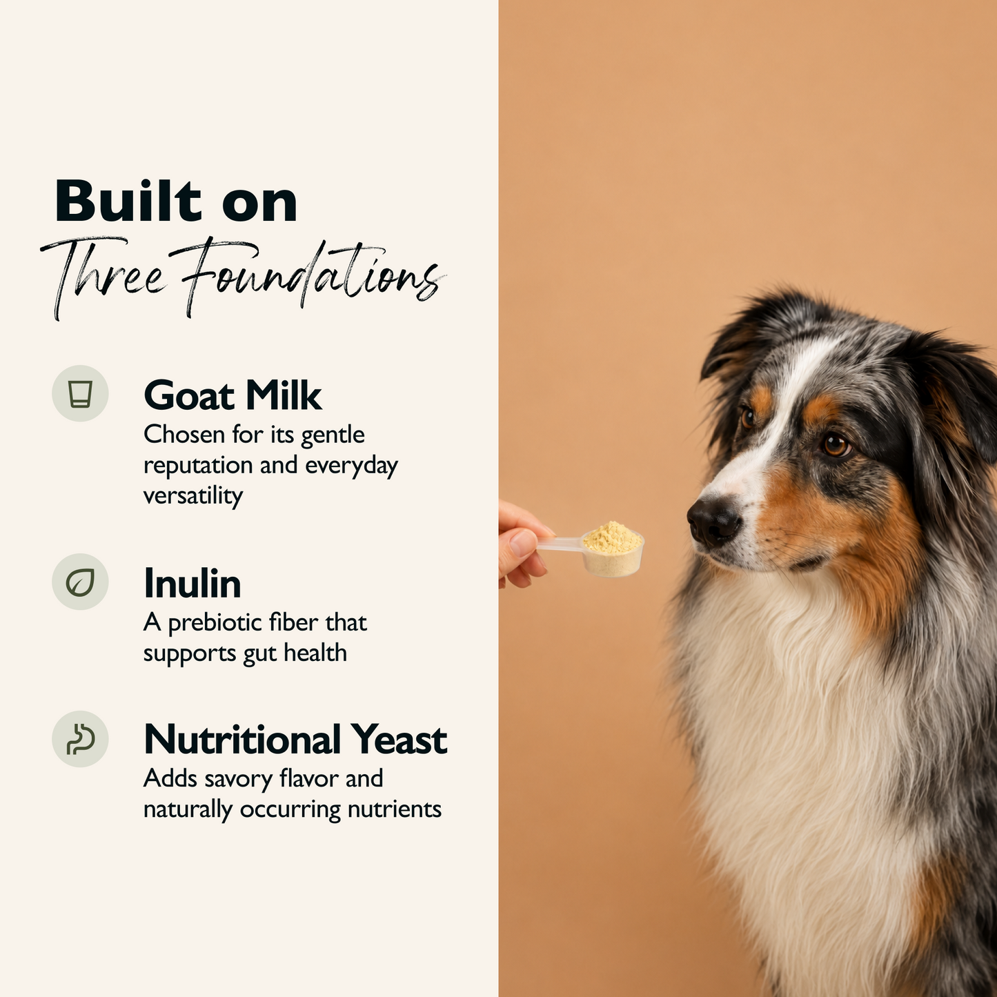 Goat Milk Topper - Pumpkin & Chamomile
