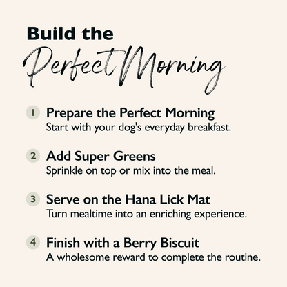 Morning Ritual Bundle