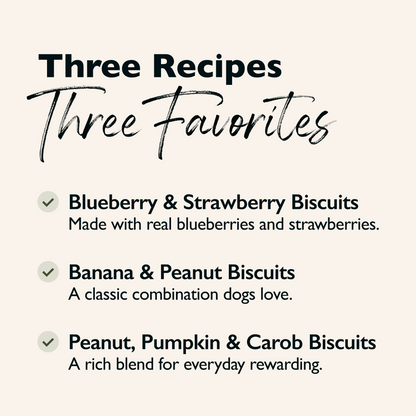 Biscuit Flight