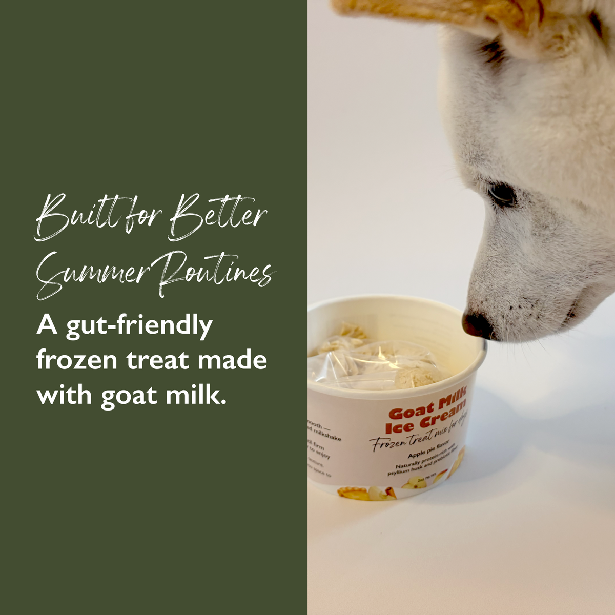 Goat Milk Ice Cream — Apple Pie
