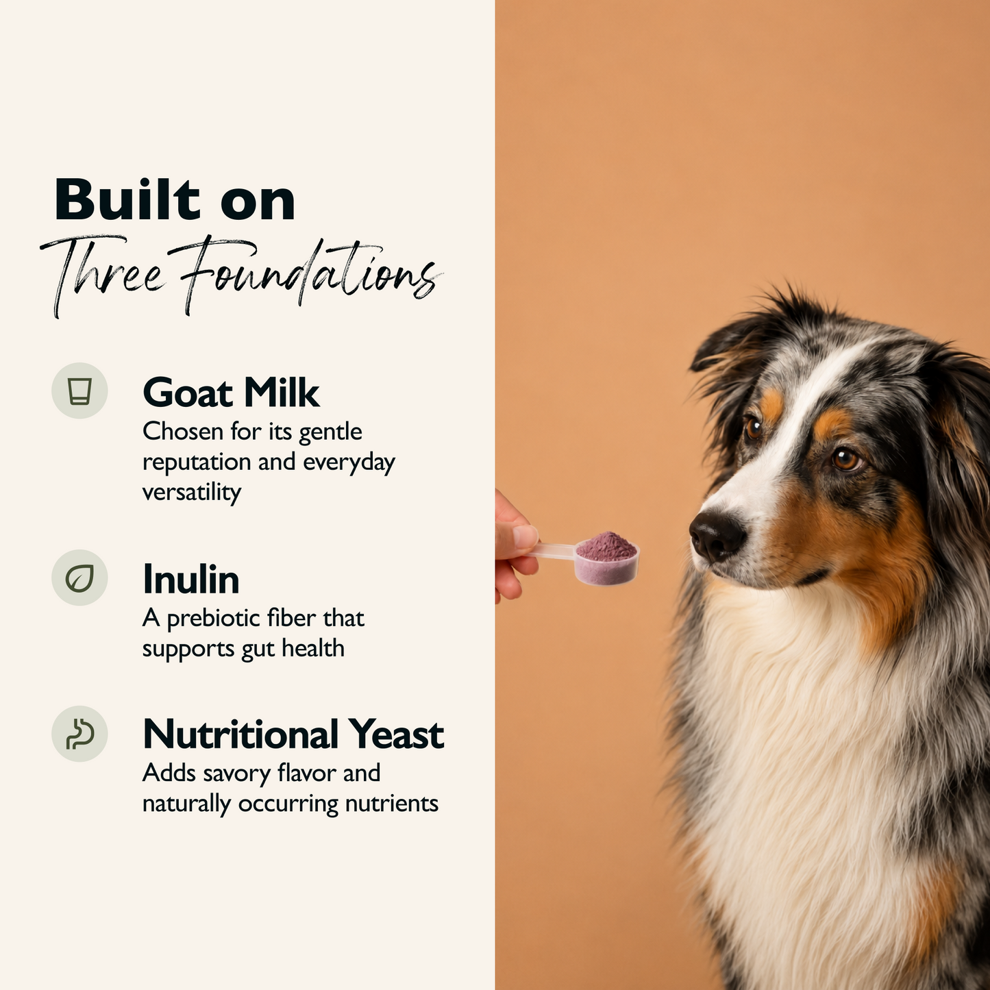 Goat Milk Topper - Beet & Blueberry