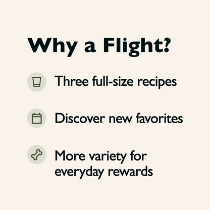 Biscuit Flight