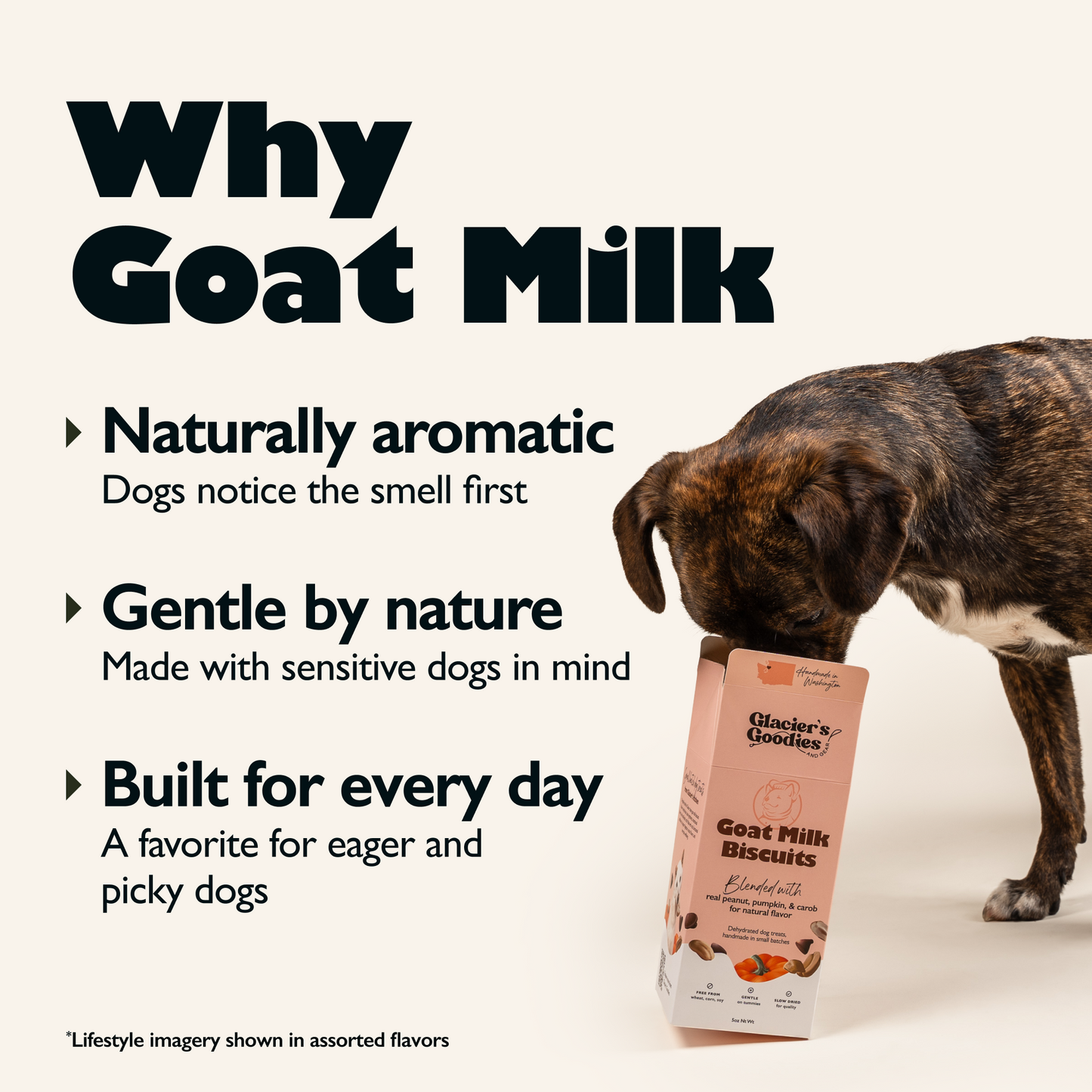 Goat Milk Training Bites — Chicken & Pumpkin